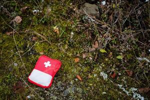 First Aid Kit in the Forest, Small Compact First Aid Kit with Medicines, Bag to the Cross, Emergency Aid on a Hike,. photo