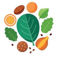 A variety of fruits and vegetables are arranged in a circle vector