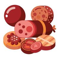Assorted Slices of Salami and Other Meats on White Background vector