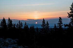 Spruce forest on the background of mountains, the yellow disk of the sun rises over the mountains, morning in the taiga, dark forest, lonely fir trees, silhouette of trees against the sky. photo