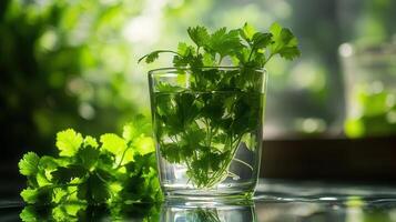 A studio shot of fresh herbs like parsley and cilantro placed in a glass of water to keep them fresh photo