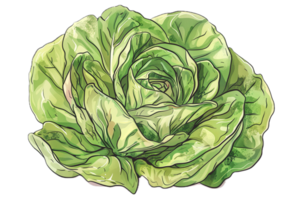 Close-up artistic rendering of leafy green lettuce. png