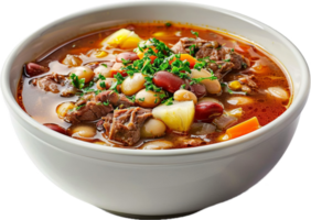 Rustic Beef and Bean Stew with Carrots png