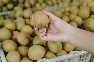 A persons hand holding a sapodilla fruit with baskets full of fruits in the background. photo