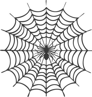 Spider in the Center of a Web