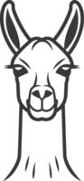Black and White Line Drawing of a Llama Head vector