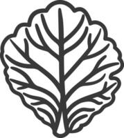 Black and White Line Drawing of a Single Cabbage Leaf vector