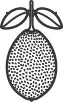 Black and white line drawing of a lemon with leaves vector