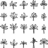 Palm trees in a line drawing style vector