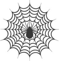 Spider Sitting in the Center of its Web vector