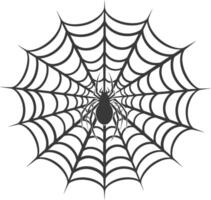 Spider Sitting in the Center of a Web vector