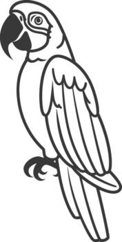 A parrot is standing on a branch with its beak open vector