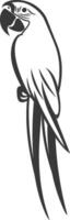 A parrot is standing on its hind legs and has a large beak vector