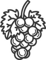 Grapes coloring pages vector