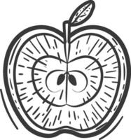 An apple is shown in a black and white drawing vector