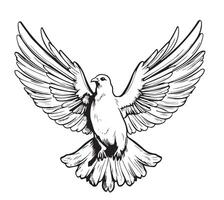 Hand drawing dove sketch Symbol of peace vector