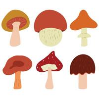 Set of mushrooms isolaed on white background, Mushroom Clip art, Simple Cartoon style vector