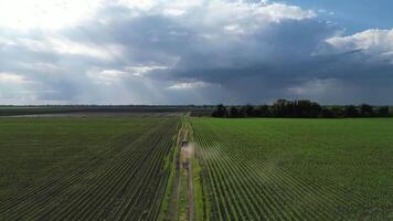 An aerial view of a dirt road winding through rows of crops, with a vehicle driving along the path. A storm is rolling in, creating a dramatic sky video