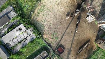 ein Antenne Perspektive offenbart ein Schiff Bauernhof integrieren Aquakultur mit Landwirtschaft. es Eigenschaften Pflanzen neben Wasser Bereiche, Hervorheben nachhaltig Praktiken Methoden Ausübungen und Land verwenden video