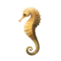 illustration style of seahorse, beige color isolated on a transparent background png