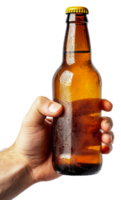 Person holding a frosty amber beer bottle indoors isolated on transparent background png