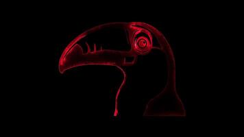 Neon frame effect, Joyful Toucan on black background video