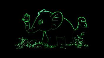 Neon frame effect, An elephant with a small bird perched on its back on black background video