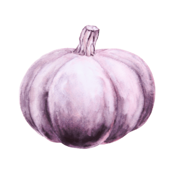 Preto abóbora, abóbora. colheita ilustração. cortar Fora isolado outono vegetal clipart. botânico realista mão desenhado aguarela pintura. dia das Bruxas Projeto elemento. adequado para convites, impressões png