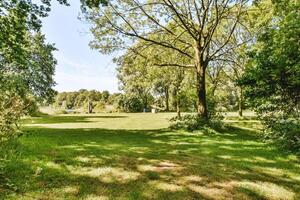 A grassy area with trees and a golf course photo