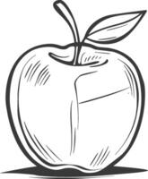 An apple is drawn in black and white vector