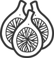 Figs in line art style on white background vector