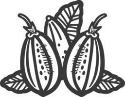 Cocoa beans with leaves and leaves icon illustration vector