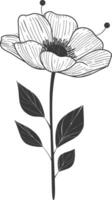 An illustration of a flower with leaves vector