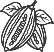 Cocoa beans with leaves and leaves on a white background vector