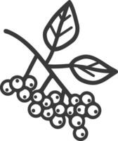 A black and white drawing of a branch with berries vector