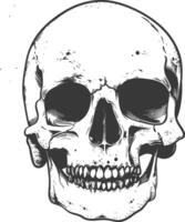A skull is shown in this drawing vector