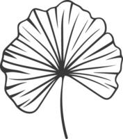 Ginkgo leaf coloring pages vector