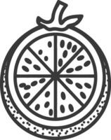 A black and white drawing of a grapefruit vector
