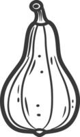 A black and white drawing of a large onion vector