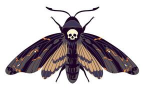 flying butterfly. Hawk moth Dead head . Symbol of mysticism, occultism, magic. Colored moth on a white background. vector