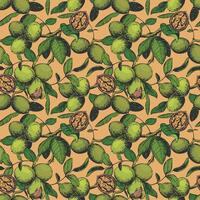 Seamless pattern with hand drawn walnuts. Branch with leaves and ripe nuts. illustration in color engraving technique for nut paste, oil, liqueur Nocino. For packaging design. Ink sketch. vector