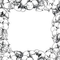 Square frame with cotton flowers and space for text. Linear sketch of white cotton balls, leaves and branches. retro ink illustration. Design for label, tag or wedding invitation. vector
