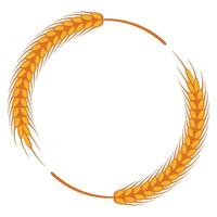 synergy of 2 wheat stalks that form a circle frame vector