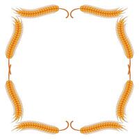 decorative wheat frame template vector