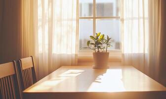 Bright minimalist dining area, small window with sheer curtains photo
