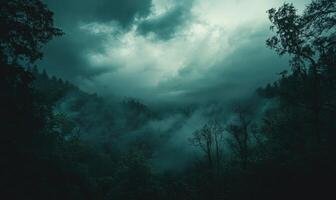 Dark and brooding clouds gathering over a dense forest photo