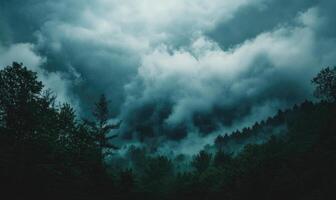 Dark and brooding clouds gathering over a dense forest photo