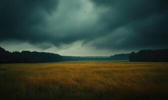 Dark clouds looming over a wide open field photo