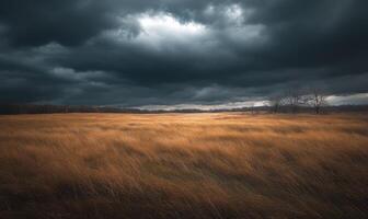 Dark clouds looming over a wide open field photo