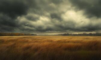 Dark clouds looming over a wide open field photo